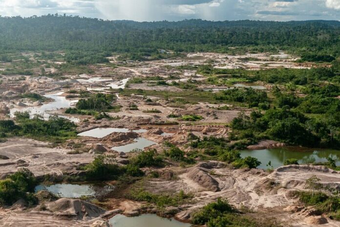 Terra_Indígena_Tenharim_do_Igarapé_Preto,_Amazonas_(40652686920)