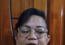 Vereadores de Borba arquivam cassação de Betinha que defendeu violência contra a mulher