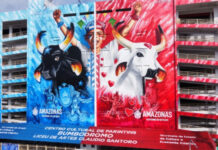 MPAM pede suspensão da venda de ingressos para o Festival de Parintins de 2026