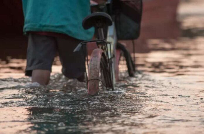 FGTS_Calamidades_AM365