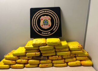 PF apreende 37 kg de skunk no aeroporto de Manaus; passageiro é preso