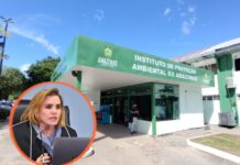 URGENTE | TCE-AM abre investigação contra o Ipaam por supostas irregularidades
