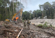 PF e ICMBio desarticulam garimpos ilegais de ouro no Amazonas